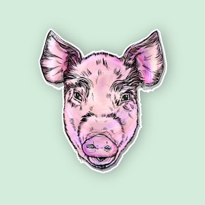 PIG STICKER, High Quality Waterproof Vinyl Stickers, Laptop Decals