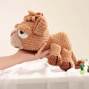 May include: A light brown crocheted plush toy shaped like a camel with a textured yarn finish, a lighter beige muzzle, dark brown hooves, and large white and black eyes. The stuffed animal features a small tuft of hair on its head.