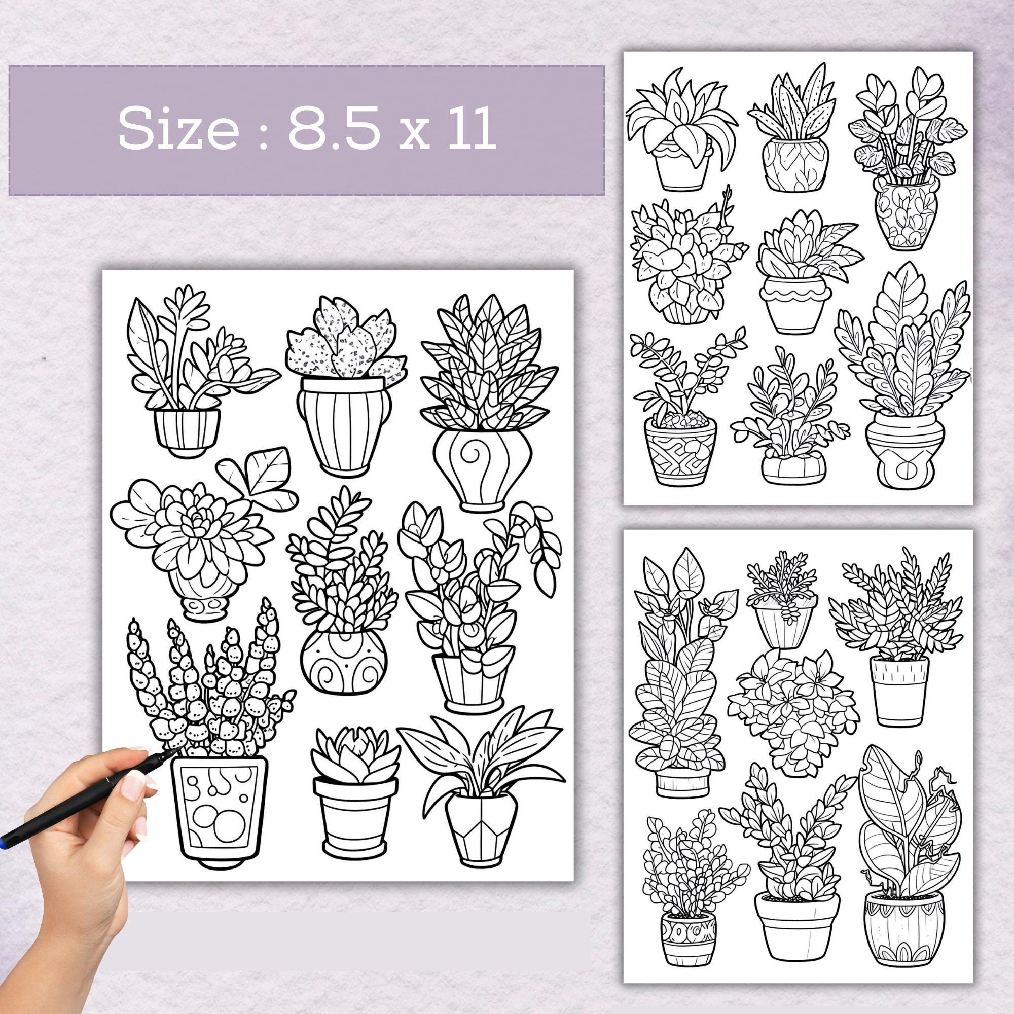 House Plant Coloring Pages 50 Pages Plant Coloring Pages for Relaxation