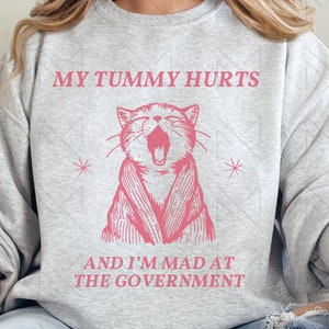 May include: A gray sweatshirt with a pink graphic of a cat with its mouth open, saying "My tummy hurts and I'm mad at the government".