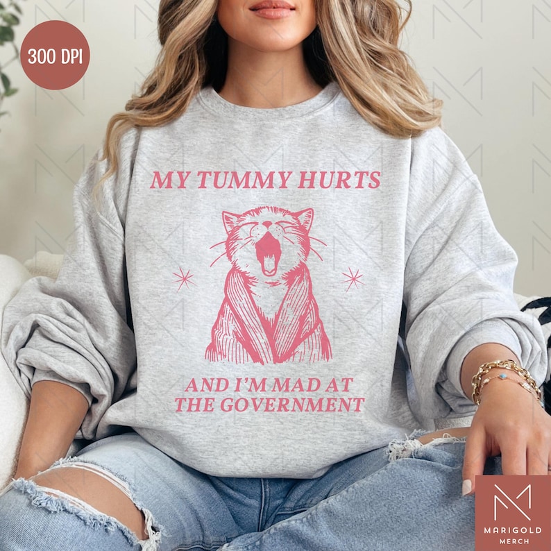 May include: A gray sweatshirt with a pink graphic of a cat with its mouth open, saying "My tummy hurts and I'm mad at the government".