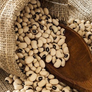 Può includere: Un sacco di juta pieno di fagioli neri, che si riversano su un cucchiaio di legno. I fagioli sono bianchi con una macchia nera su ciascuno.