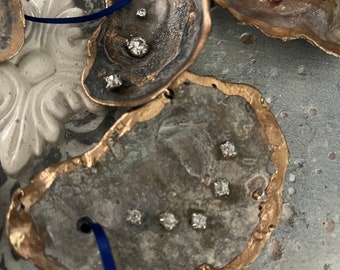 The Constellation Collection - Fossilized Oyster Shells 5 Piece Set.