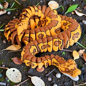May include: A segmented toy snake in brown and yellow with black markings. The snake is coiled on a dark surface with leaves and small stones. The snake's head is detailed with a white mouth. The toy is designed to resemble a snake.