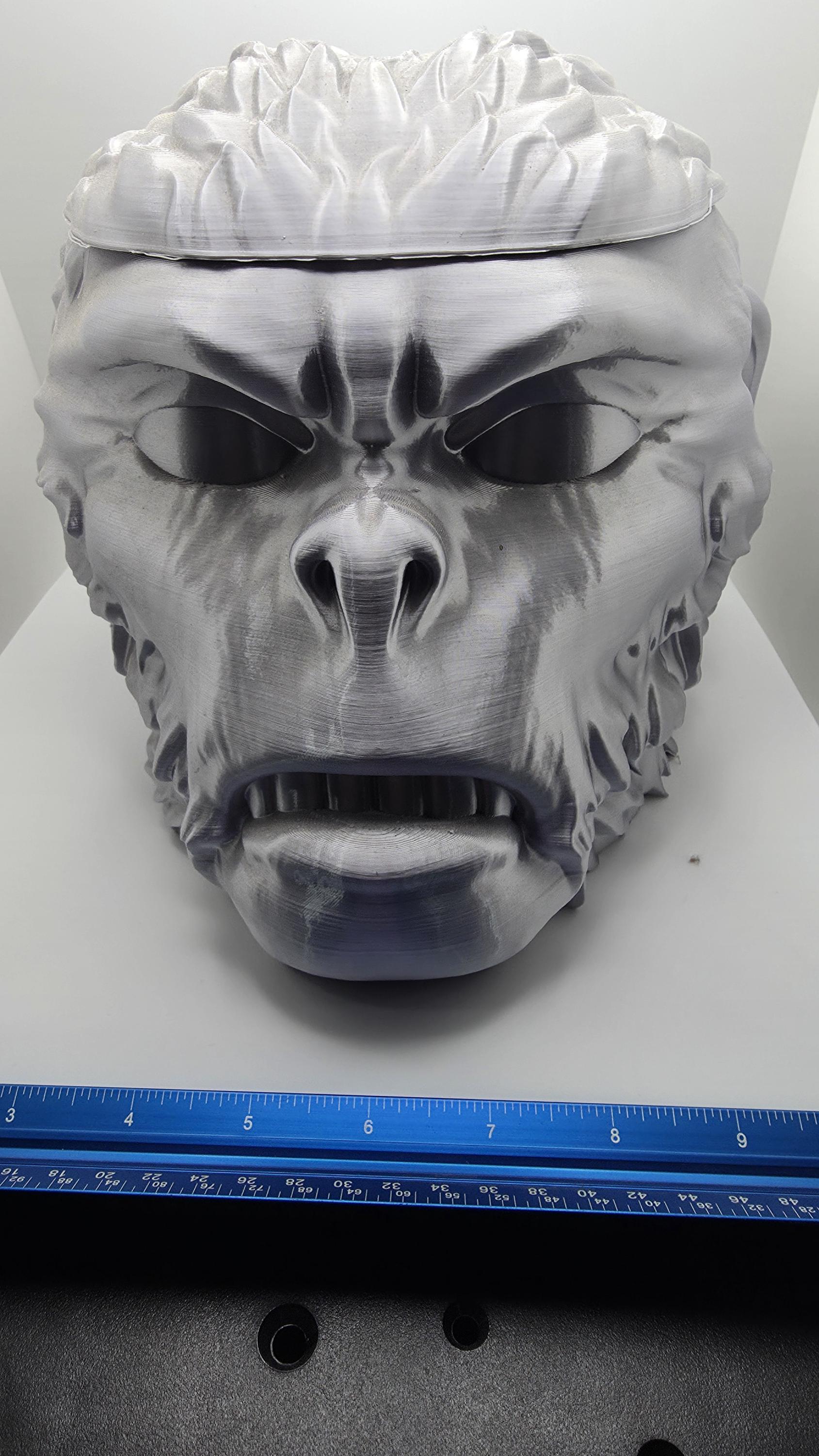 Indiana Jones Monkey Head - Etsy