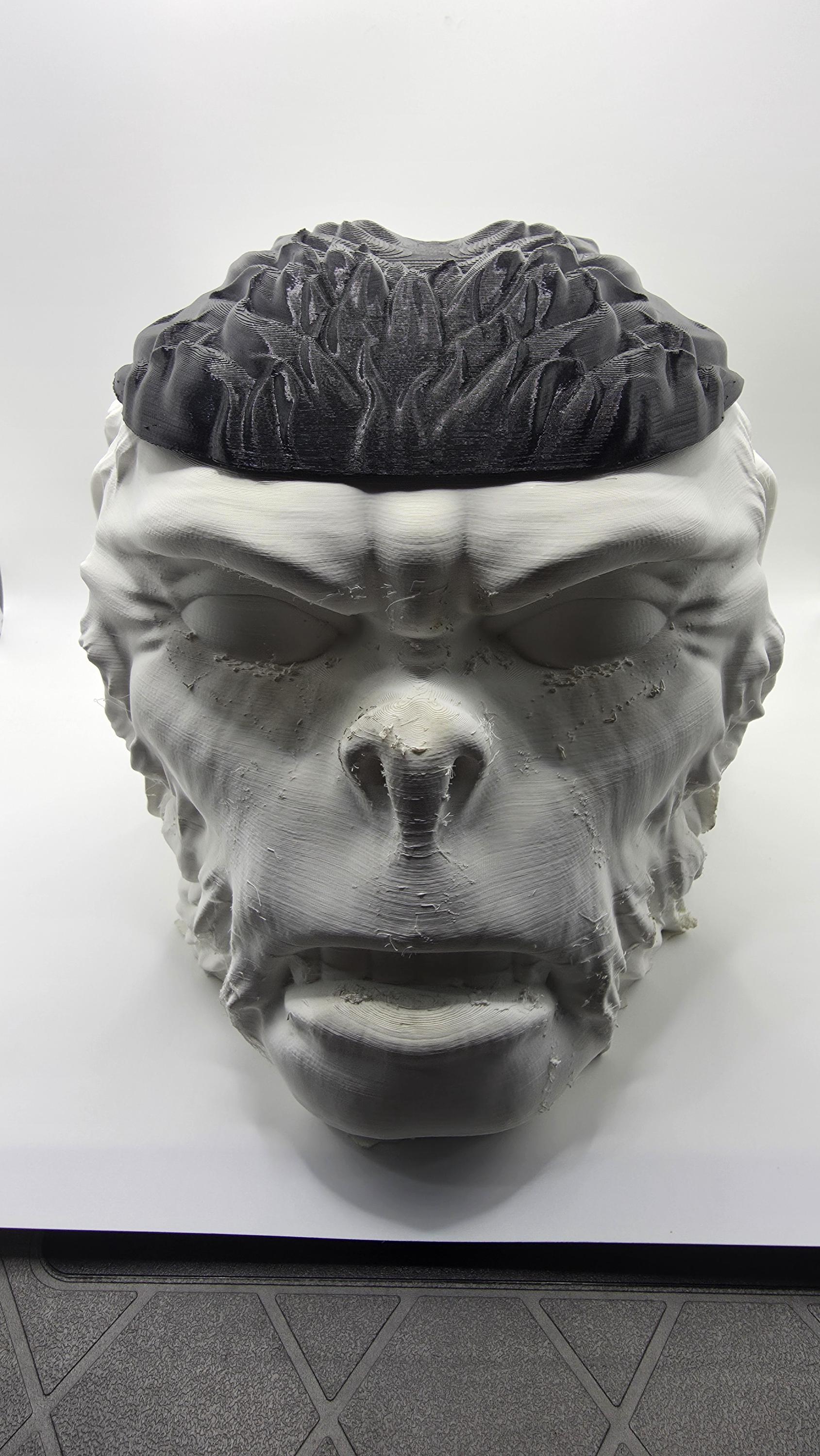 Indiana Jones Monkey Head - Etsy