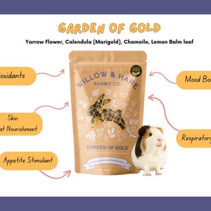 3-Pack Bunny Forage Mix Variety Pack | Rabbit Treats | Rabbit Forage Mix | Bunny Food | Bunny Treats | Bunny Snacks | Guinea Pig Treats image 4