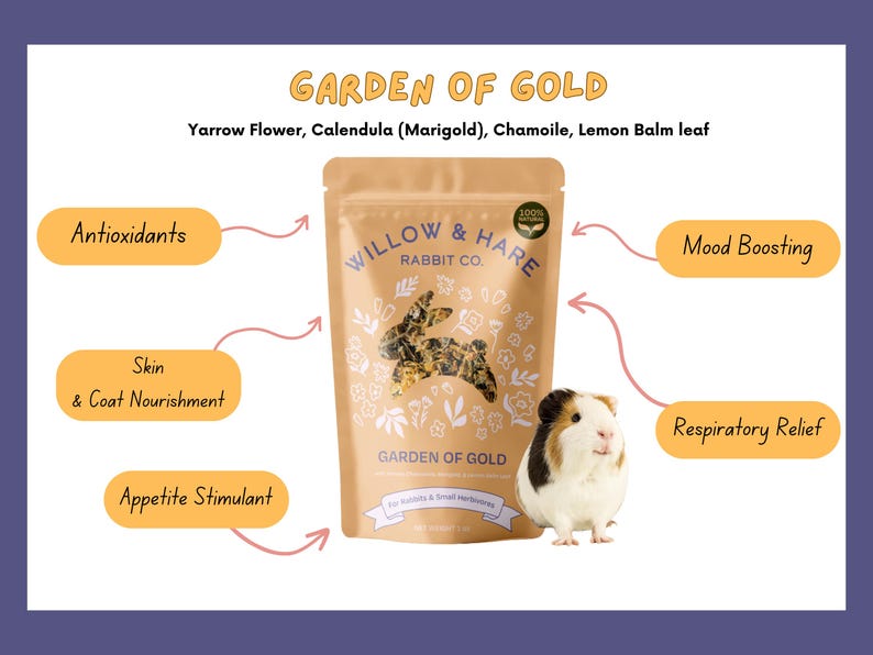 3-Pack Bunny Forage Mix Variety Pack | Rabbit Treats | Rabbit Forage Mix | Bunny Food | Bunny Treats | Bunny Snacks | Guinea Pig Treats image 4
