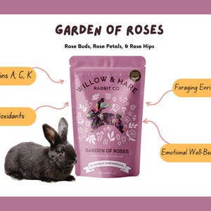 3-Pack Bunny Forage Mix Variety Pack | Rabbit Treats | Rabbit Forage Mix | Bunny Food | Bunny Treats | Bunny Snacks | Guinea Pig Treats image 6