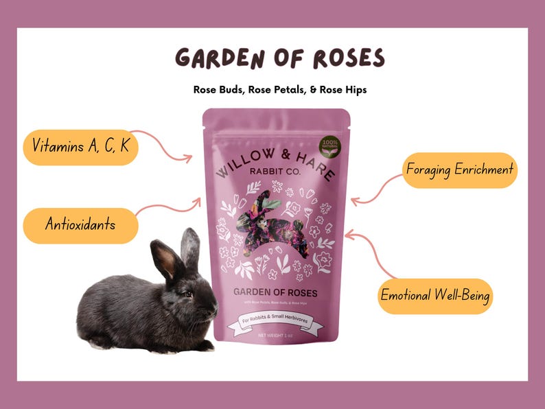 3-Pack Bunny Forage Mix Variety Pack | Rabbit Treats | Rabbit Forage Mix | Bunny Food | Bunny Treats | Bunny Snacks | Guinea Pig Treats image 6