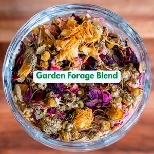 May include: A clear glass jar filled with a colorful blend of dried flowers and herbs. The text "Garden Forage Blend" is displayed on a white label. The blend includes yellow, purple, and brown elements, suggesting a mix of chamomile, rose petals, and other botanicals.