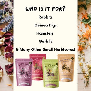 3-Pack Bunny Forage Mix Variety Pack | Rabbit Treats | Rabbit Forage Mix | Bunny Food | Bunny Treats | Bunny Snacks | Guinea Pig Treats image 8