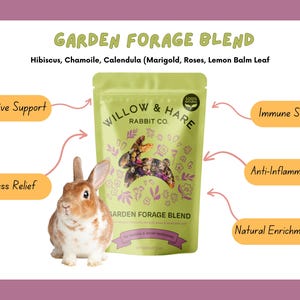 3-Pack Bunny Forage Mix Variety Pack | Rabbit Treats | Rabbit Forage Mix | Bunny Food | Bunny Treats | Bunny Snacks | Guinea Pig Treats image 2