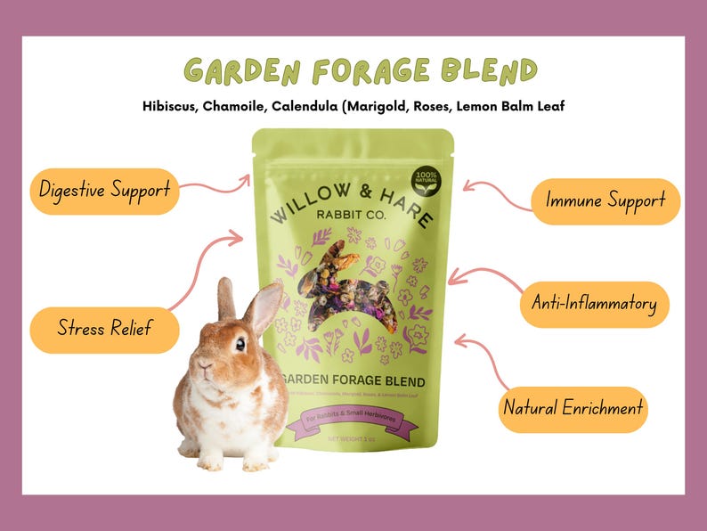 3-Pack Bunny Forage Mix Variety Pack | Rabbit Treats | Rabbit Forage Mix | Bunny Food | Bunny Treats | Bunny Snacks | Guinea Pig Treats image 2