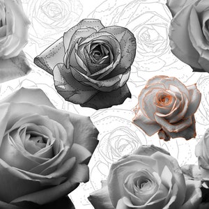 30x Rose Procreate Brush set | Tattoo Stamp Brushes | Stencils and References for Professional Tattoo Artists