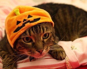 Cute Pumpkin Hat & Ornament ball