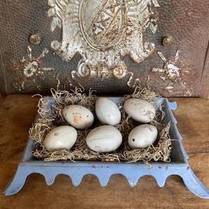 May include: A light blue, scalloped-edge tray holds six off-white eggs nestled in dried grass. The tray sits on a wooden surface, with a decorative metal piece in the background.