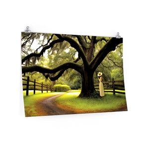 Southern gaze - Live Oak on a fenced road Premium Wall Art Poster