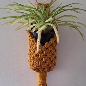 May include: A yellow macrame plant hanger with a wooden ring at the top and a long tassel. A green spider plant is hanging in the macrame planter.