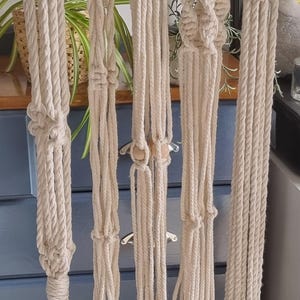 May include: Five off-white macrame plant hangers with metal rings. The hangers have different knotting patterns and wooden beads. They are suspended in front of a blue chest of drawers and a houseplant.