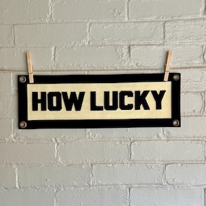 How Lucky - John Prine Inspired Felt Appliqué Banner