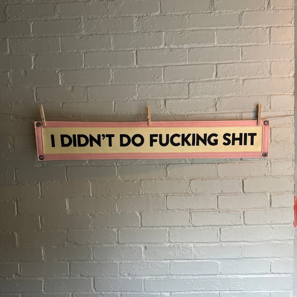 I Didn’t Do Fucking Shit – I Think You Should Leave Fan-Made Felt Banner