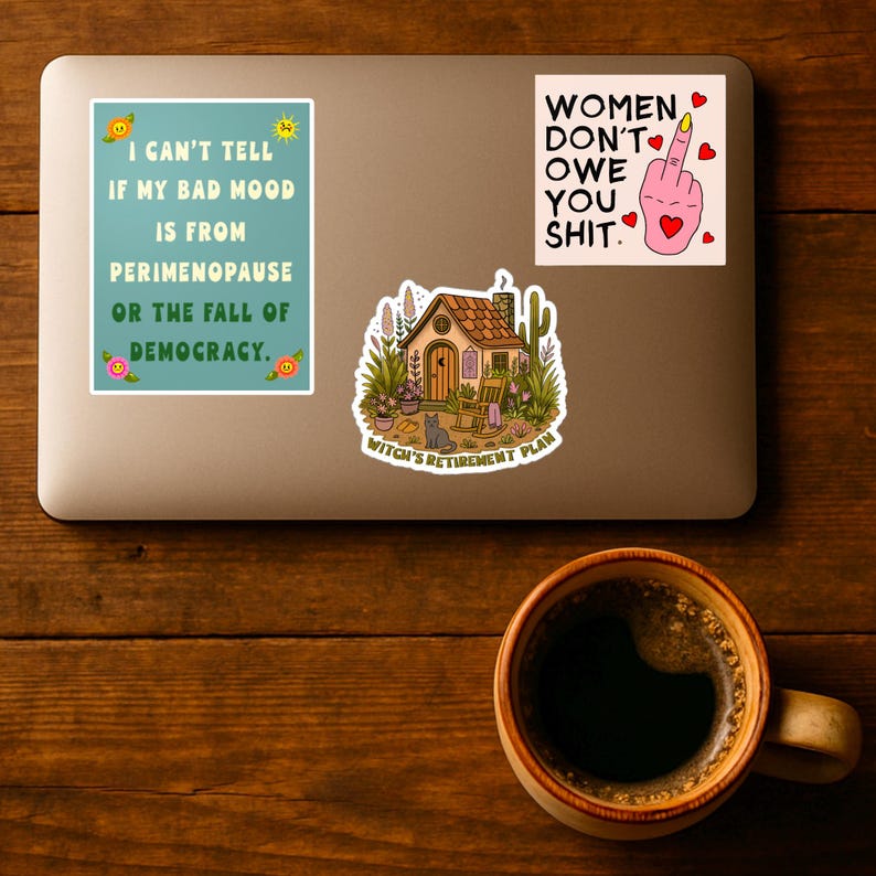 Perimenopause Humor Aufkleber: Feministische politische Aktivistin Vinyl Aufkleber, lustiger PMS Stimmungswechsel Aufkleber Bild 4