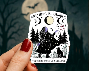 May include: A die-cut sticker featuring a person in a star-patterned cloak standing in a forest with a black cat. Above them are moon phases and the text "ANYTHING IS POSSIBLE." Below them is the text "YOU WERE BORN OF STARDUST." The design includes small pink butterflies and stars.