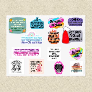Hoja de pegatinas feministas: Derechos de las mujeres, activismo, igualdad de género, antioligarquía, humor sobre la perimenopausia