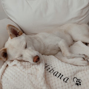 Personalized dog blanket • Personalized pet blanket • Dog accessory • Pet accessory