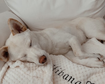 Personalisierte Hundedecke • Personalisierte Decke für Tiere • Hundezubehör • Tierzubehör