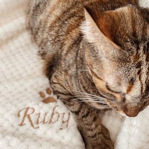 Personalized blanket for cat Personalized blanket for animals Cat accessory Animal accessory image 2