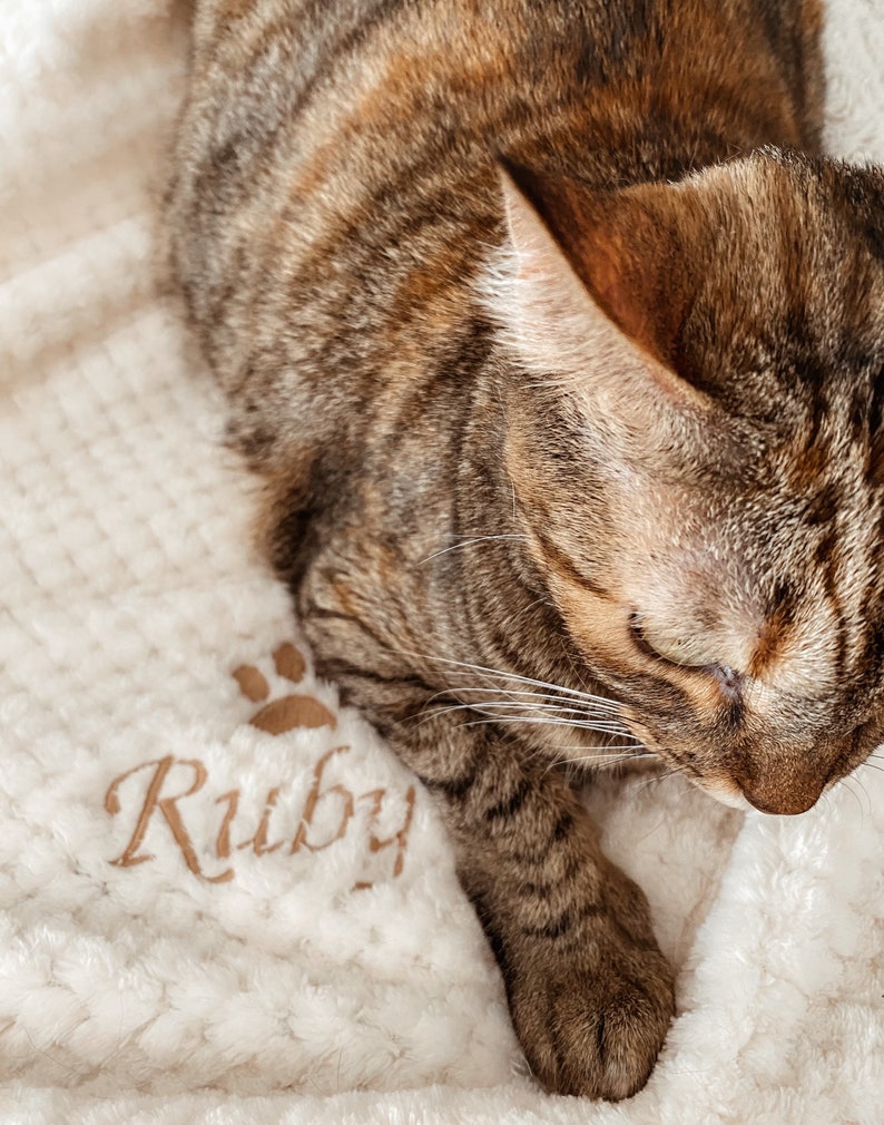 May include: A brown tabby cat with its eyes closed is resting on a white fluffy pet bed with the name "Ruby" embroidered on it.