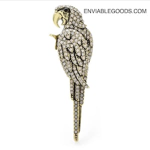 Parrot Bird Broche - Levendige vogelsieraden voor tropische stijl