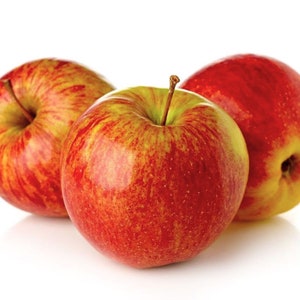 50 Anna Apple Tree Seeds - FRESH SEEDS - Limited Supply - Order Soon - Thank You