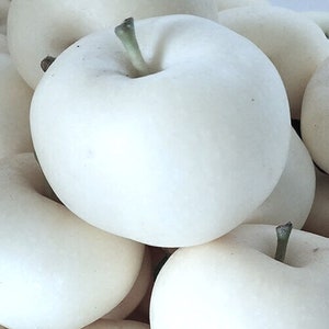 May include: A close-up shot of a pile of white pears. The pears have a smooth, round shape with a small, green stem. The skin is a creamy white color. The pears are piled together, creating a full frame.