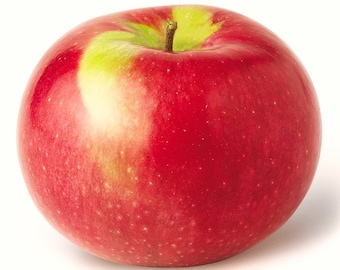 Peut inclure: Une pomme rouge avec une touche de vert et de jaune sur le dessus. La pomme a une peau lisse et brillante.