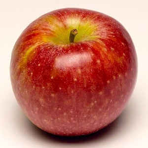 50 Winesap Apple Tree Seeds - FRESH SEEDS - Limited Supply - Order Soon - Thank You