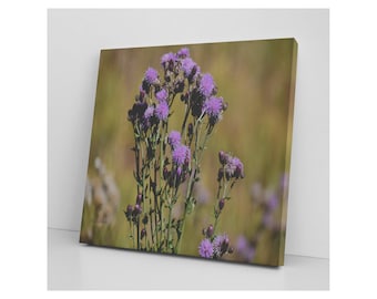 Purple Thistle - Wildflower Canvas Wrap - Nature Photography, Gallery Quality Wall Art