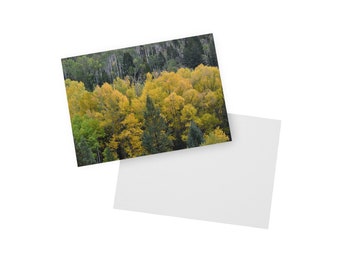 Colorado Fall Trees - Flat Card with Envelope - Stationary
