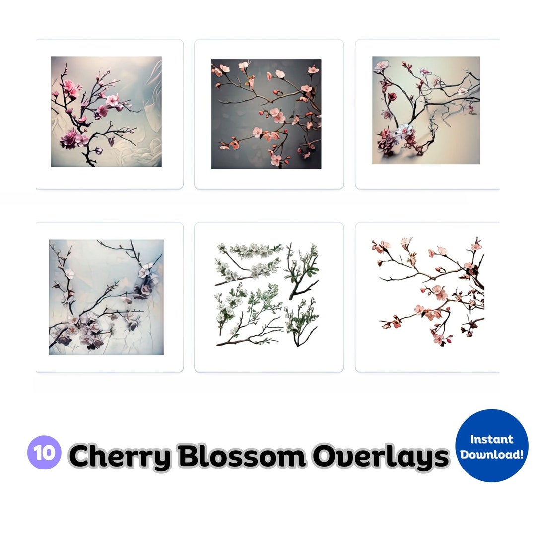 10 Cherry Blossom Branch Overlays Whimsical Cherry Blossom Etsy