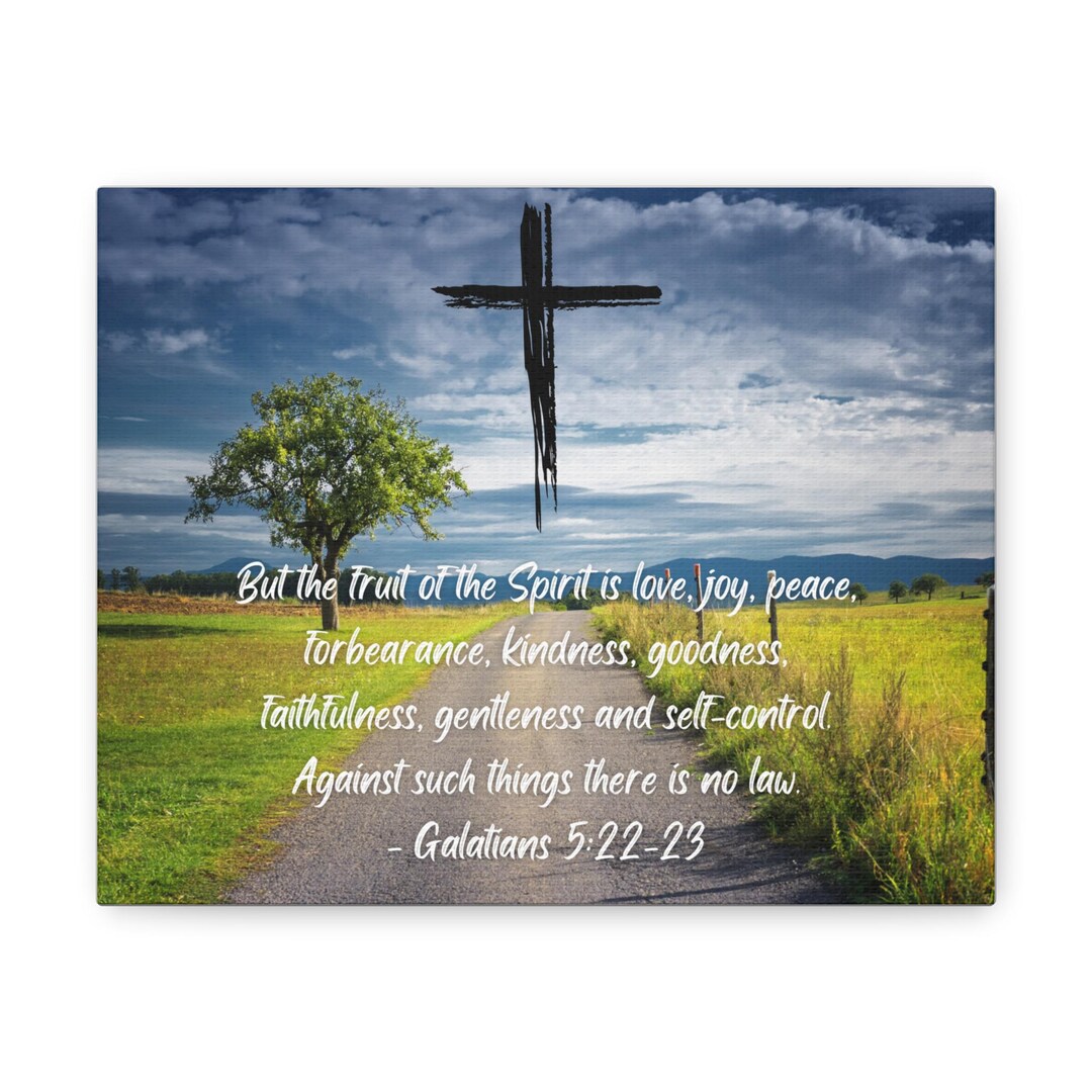 St. Vincent de Paul - Canvas Gallery Wraps