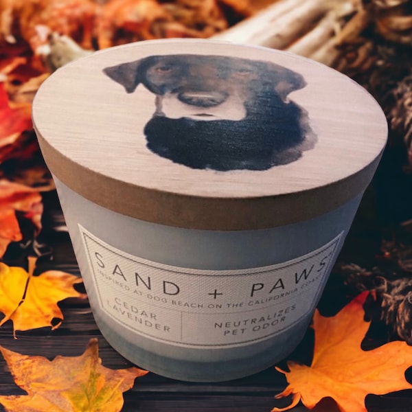 Sand and Paws Candle Etsy