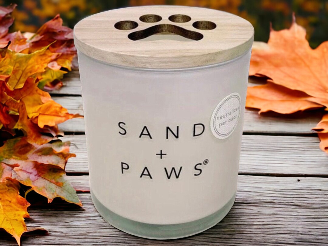 Sand Paws Candle Luxurious Air Freshening Jar Candles Etsy
