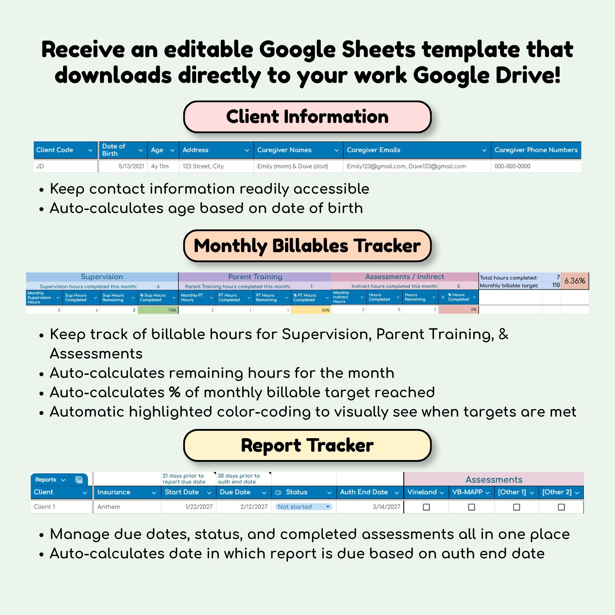 BCBA Caseload Organizer Template - Google Sheets - Etsy