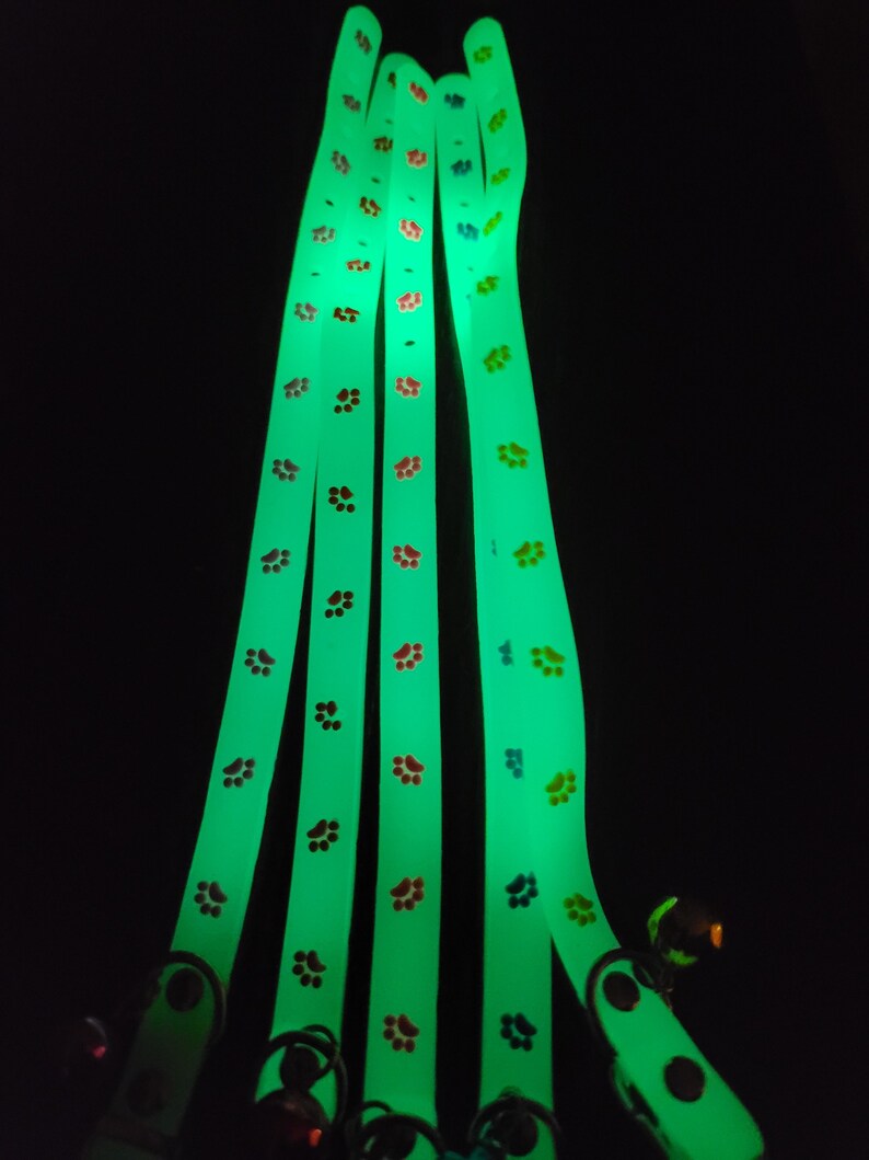 Glow in the Dark Cat Collar Dog Collar Kitten Collar Paw Etsy