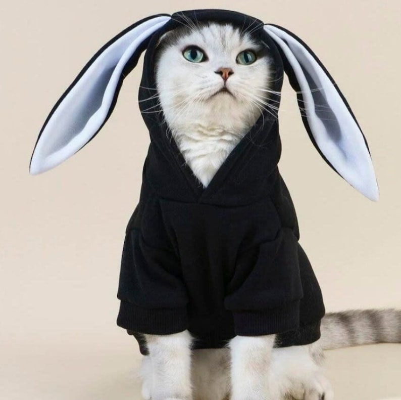 Bunny Costume for Dogs, Halloween Costume for Dogs, Cat's Costume, Dog Sweatshirt, Dog Hoodie