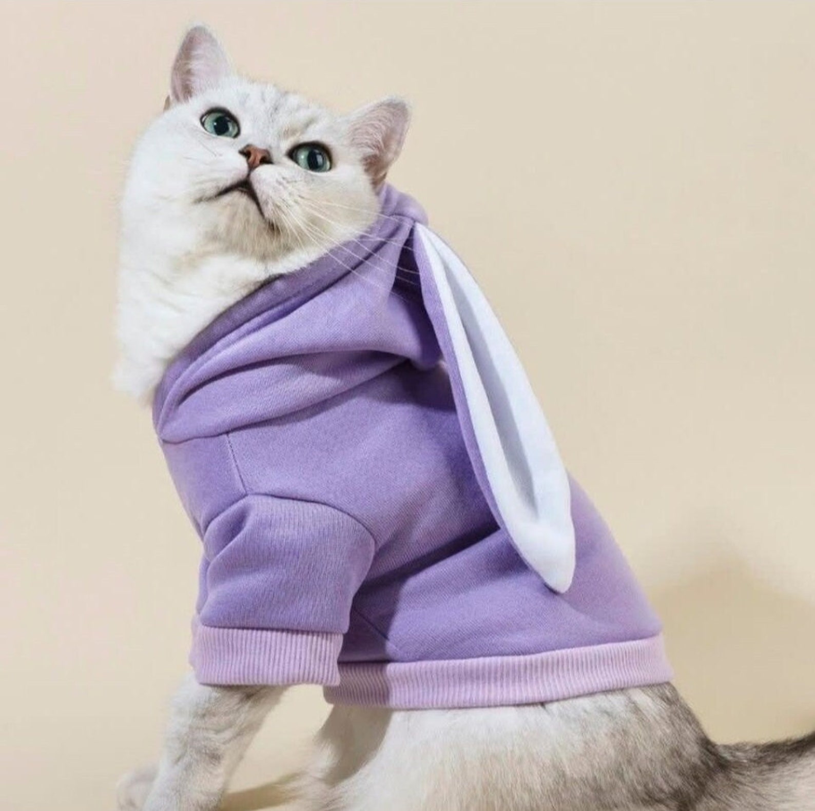 Bunny Costume for Dogs, Halloween Costume for Dogs, Cat's Costume, Dog Sweatshirt, Dog Hoodie