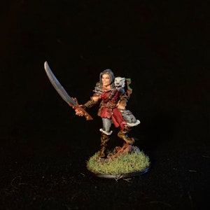 Male Human Ranger - Dungeons and Dragons, Pathfinder, Fighter, Explorer, RPG Miniature - Pro-Painted