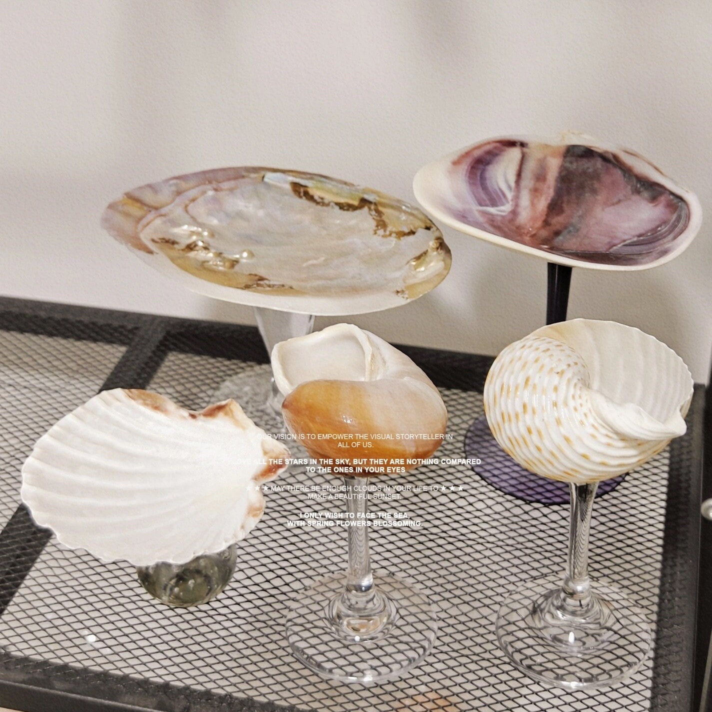 Handmade Seashell Coupe / Martini Glass – Peppery Home